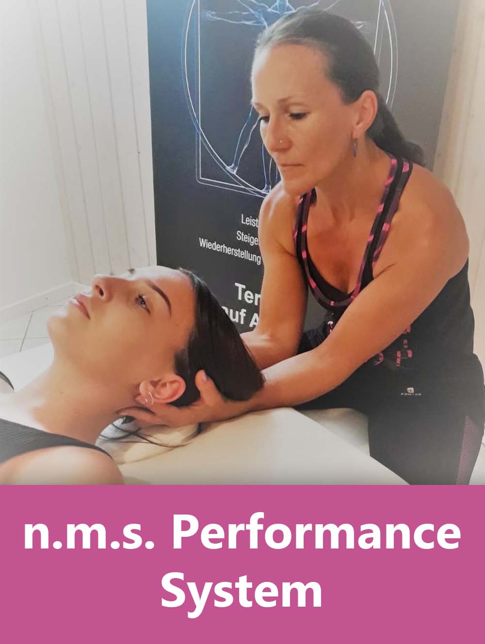 n.m.s. Performance System